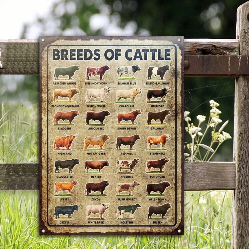 Breeds of Cattle Metal Tin Sign